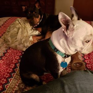 Meet your Posher, Beth